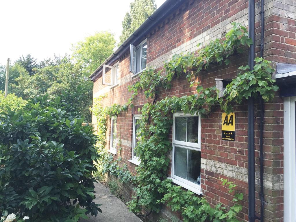 South Norfolk Guest House Great Moulton Zewnętrze zdjęcie